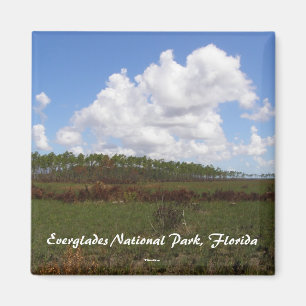Everglades National Park, Florida Magnet