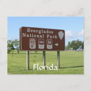 Everglades National Park, Florida Postcard