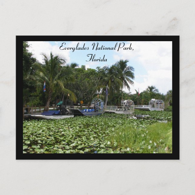 Everglades National Park, Florida Postcard (Front)
