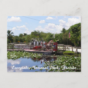 Everglades National Park, Florida Postcard