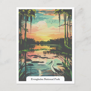 Everglades National Park, Florida USA Postcard