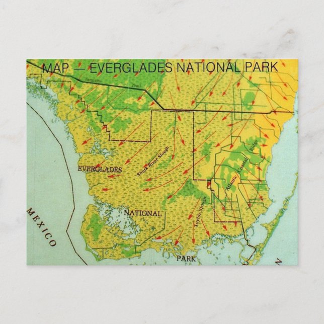 Everglades National Park Map Postcard (Front)