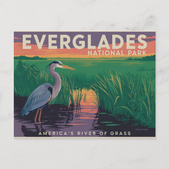 Everglades National Park Postcard (Front)