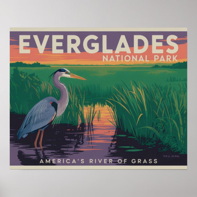 Everglades National Park Poster (Front)