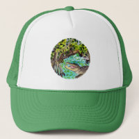 Everglades National Park Watercolor