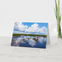 Everglades Natural Landscape