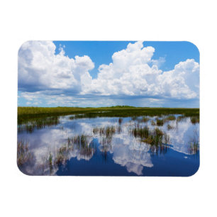 Everglades Natural Landscape Magnet