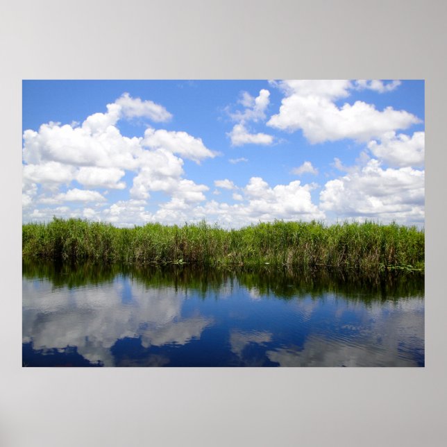 Everglades Poster (Front)