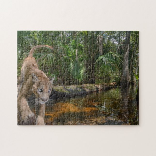 Everglades Puma Jigsaw Puzzle (Horizontal)