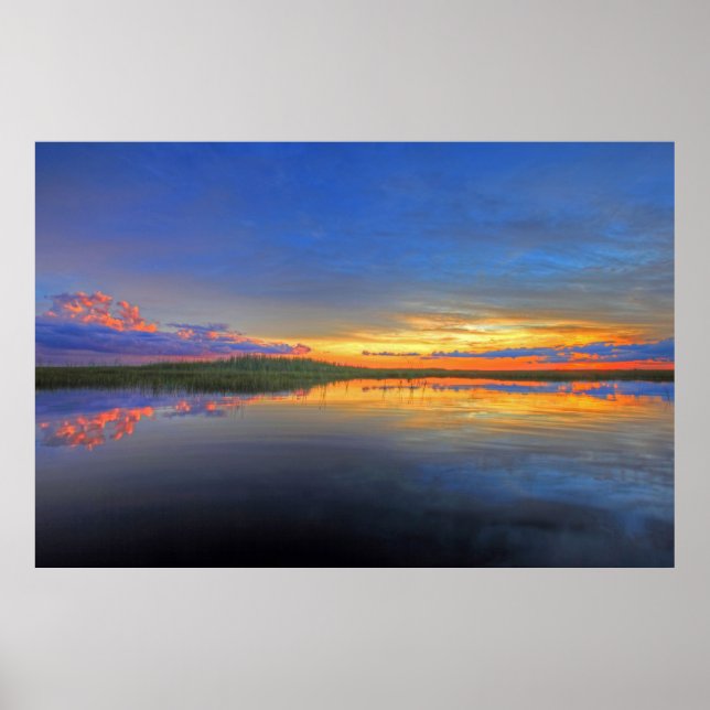 Everglades Reflections Poster (Front)