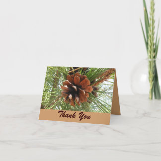 Evergreen and Pinecone Thank You Card