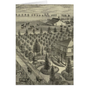 Evergreen Ave Farm