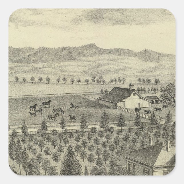 Evergreen Ave Farm Square Sticker (Front)