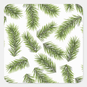 Evergreen Branch Pattern  Square Sticker