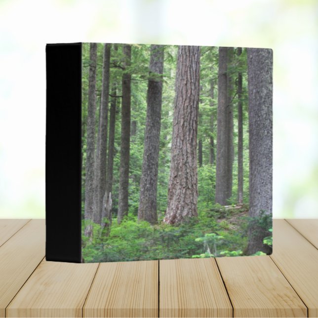 Evergreen Conifer Forest Landscape Binder (In Situ Angled)