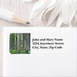 Evergreen Conifer Forest Return Address
