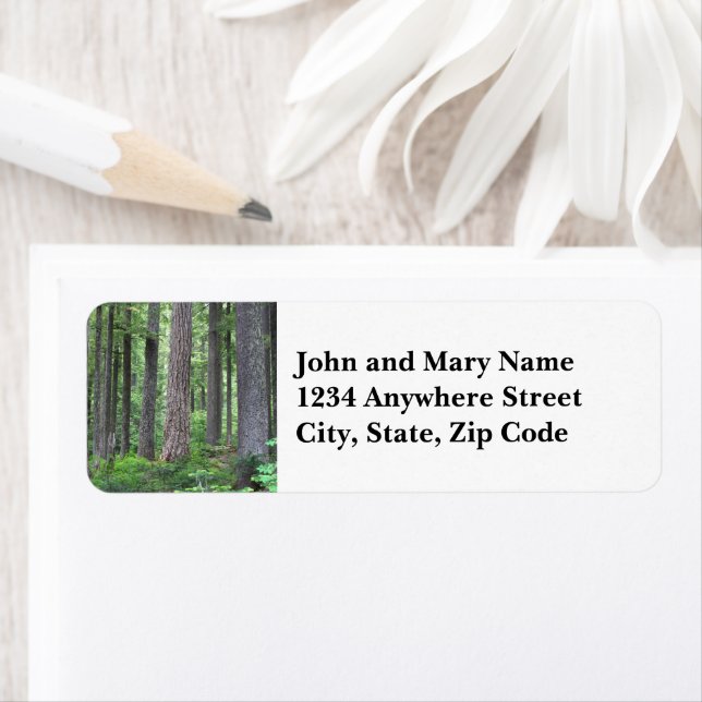 Evergreen Conifer Forest Return Address (Insitu)