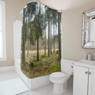 Evergreen Forest Bliss 2