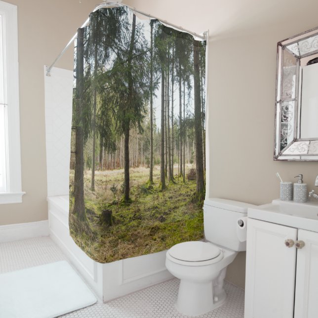 Evergreen Forest Bliss 2 (In Situ)