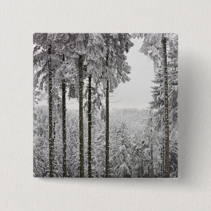 Evergreen forest in winter 2 inch square button
