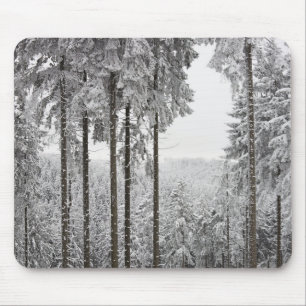Evergreen forest in winter mouse pad