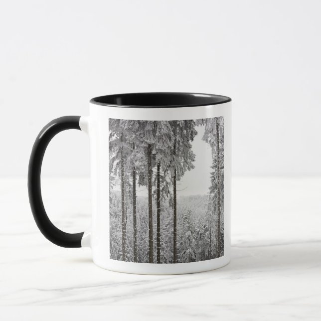 Evergreen forest in winter mug (Left)