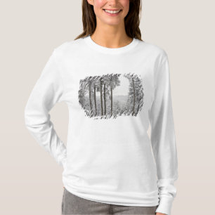 Evergreen forest in winter T-Shirt