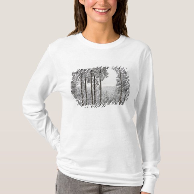 Evergreen forest in winter T-Shirt (Front)