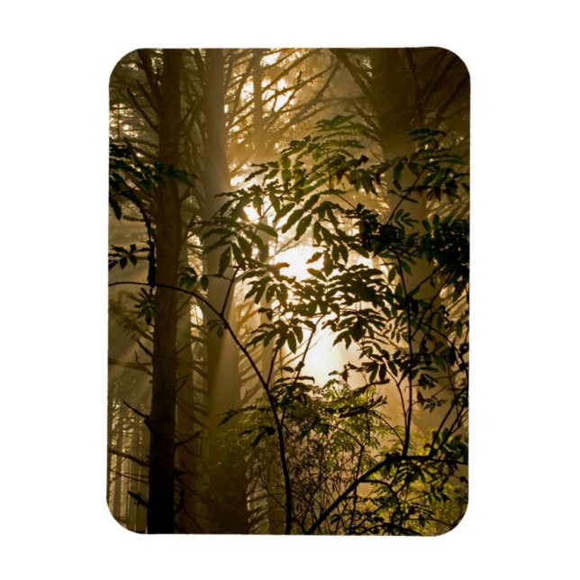 Evergreen Forest | Oregon Coast Magnet (Vertical)