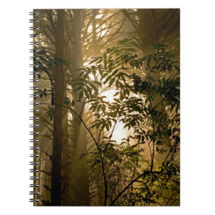 Evergreen Forest   Oregon Coast Notebook
