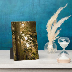 Evergreen Forest   Oregon Coast Plaque