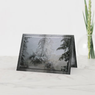 Evergreen Holiday Card