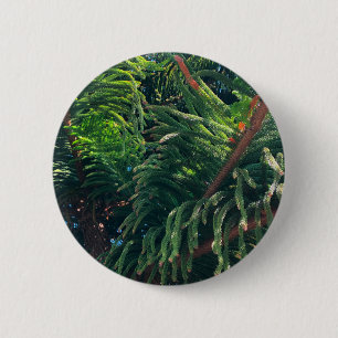 Evergreen pine-tree conifer  2 inch round button