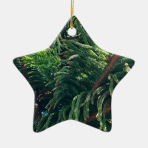 Evergreen pine-tree conifer  ceramic ornament