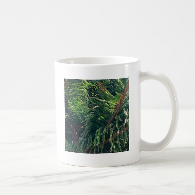 Evergreen pine-tree conifer  coffee mug (Right)
