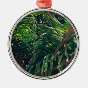 Evergreen pine-tree conifer  metal ornament