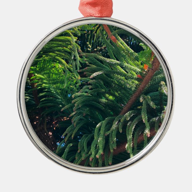 Evergreen pine-tree conifer  metal ornament (Front)