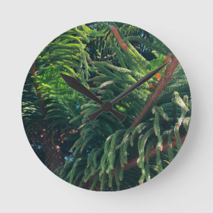 Evergreen pine-tree conifer  round clock