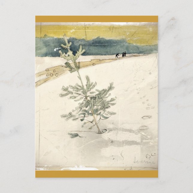 Evergreen Postcard (Front)