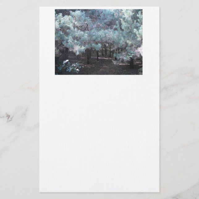 Evergreen Serenity Stationery (Front)