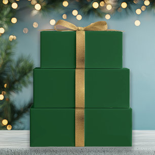 Evergreen Solid Colour Wrapping Paper Sheet