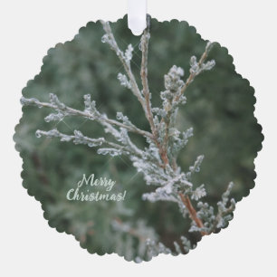 Evergreen Sparkling Frost Merry Christmas  Ornament Card