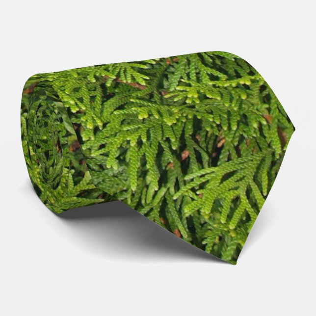 Evergreen Tree Branches Tie (Rolled)