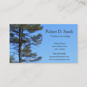 evergreen tree in blue sky science profile cards