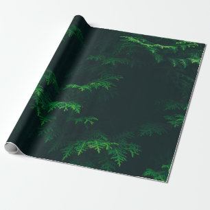 Evergreen tree wrapping paper