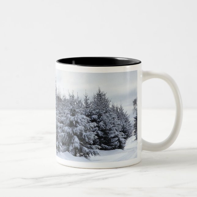 Evergreen trees and road in snow Two-Tone coffee mug (Right)