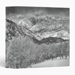 Evergreens and Aspen trees in a snow storm Binder