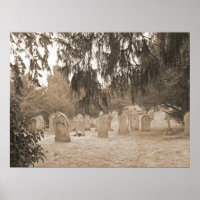 Evergreens And Gravestones