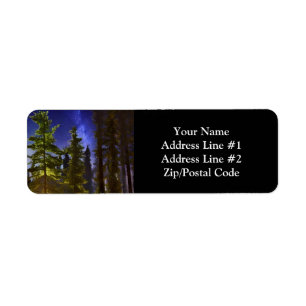 Evergreens In The Moonlight 