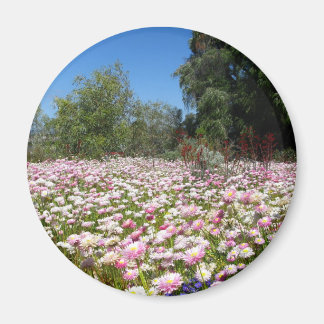 Everlasting Flowers Magnet